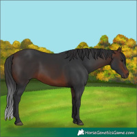 Horse Color:Brown 