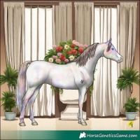 Horse Color:Nacre Chocolate Perlino Roan Dun Frame Brindle