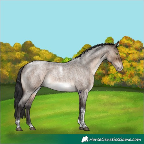 Horse Color:Brown Roan Dun Tobiano Frame Brindle 
