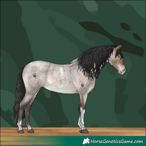 Horse Color:Brown Roan Dun Tobiano Frame Brindle 