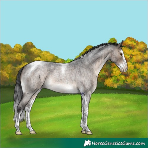 Horse Color:Brown Roan Dun Splash Tobiano Brindle 