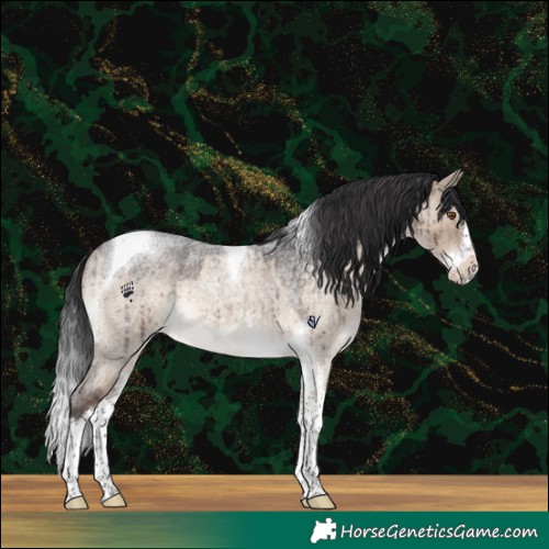 Horse Color:Brown Roan Dun Splash Tobiano Brindle 