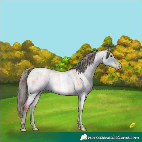 Horse Color:Platinum Nacre Grullo Roan Pearl Brindle 
