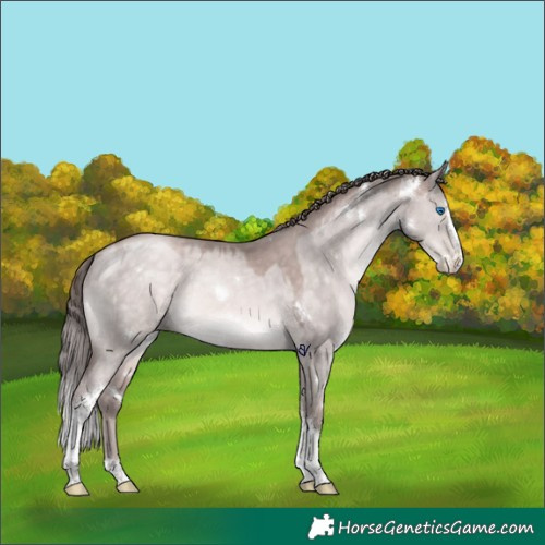 Horse Color:Platinum White Spotted Brown Pearl Dun Splash Tobiano 
