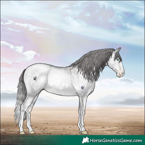 Horse Color:Platinum White Spotted Brown Snowdrop Pearl Dun Splash Tobiano 