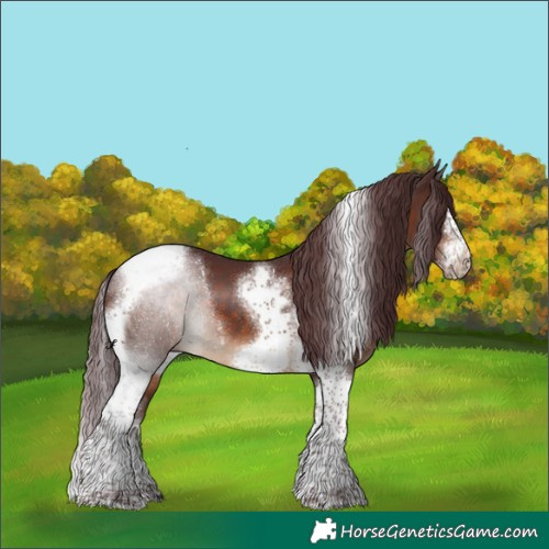 Horse Color:Chocolate Brown Splash Tobiano Frame 