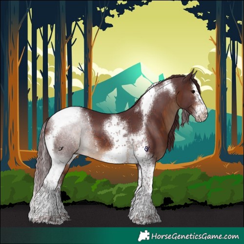 Horse Color:Chocolate Brown Splash Tobiano Frame 