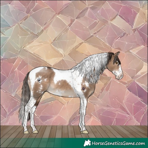 Horse Color:White Spotted Liver Red Dun Splash Tobiano 