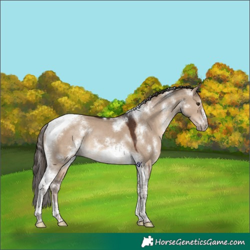 Horse Color:White Spotted Liver Red Dun Tobiano Frame 