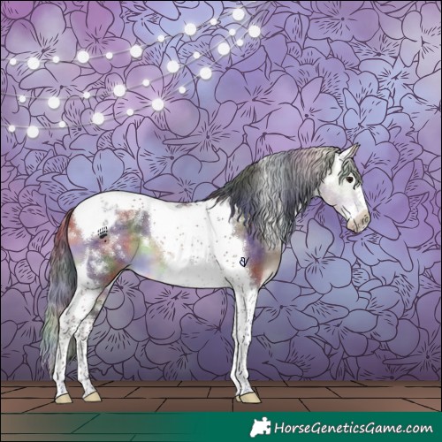Horse Color:Nacre White Spotted Brown Dun Splash Tobiano Frame 