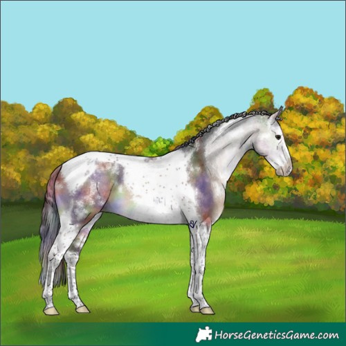 Horse Color:Nacre White Spotted Brown Dun Splash Tobiano Frame 