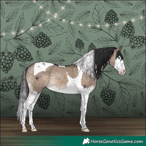 Horse Color:Brown Dun Splash Tobiano 