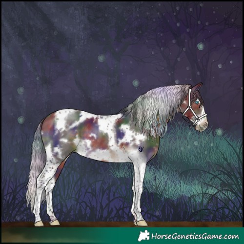 Horse Color:Nacre White Spotted Brown Splash Tobiano Frame