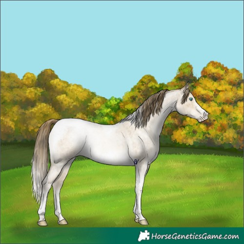 Horse Color:Chocolate Buckskin Roan Pearl Dun Tobiano Frame Brindle 