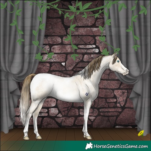 Horse Color:Chocolate Buckskin Roan Pearl Dun Tobiano Frame Brindle 