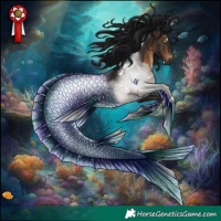 Horse Color:Gray White Spotted Brown Rabicano 
