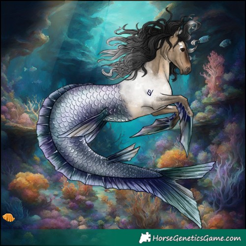 Horse Color:Gray White Spotted Brown Dun Rabicano 