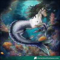 Horse Color:Gray Nacre Brown Roan Dun Rabicano 