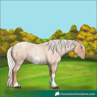 Horse Color:Silver Blue Roan Pearl Tobiano Frame 