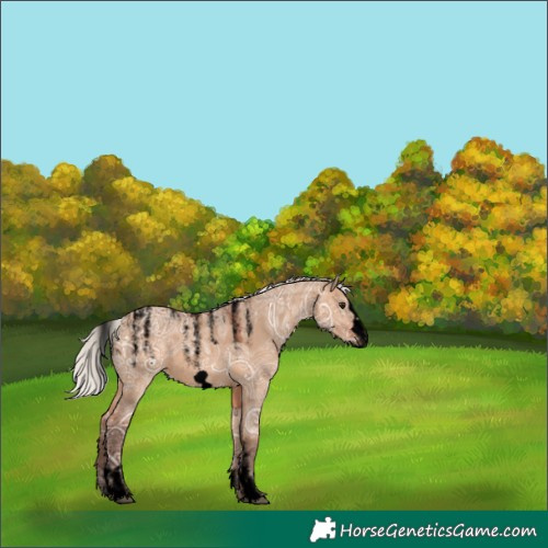 Horse Color:Powder White Void Silver Bay Ice Dun Frame Rabicano 