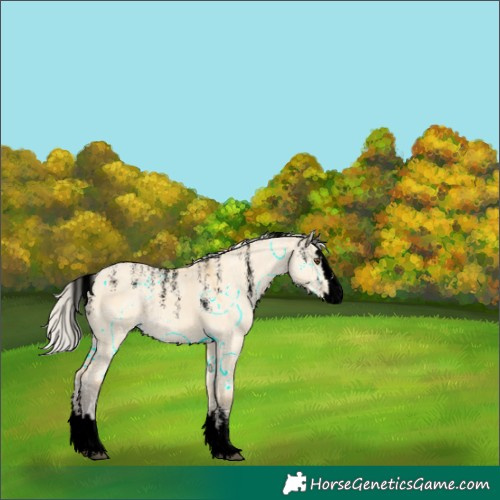 Horse Color:Powder White Void Silver Buckskin Ice Dun Splash Rabicano 