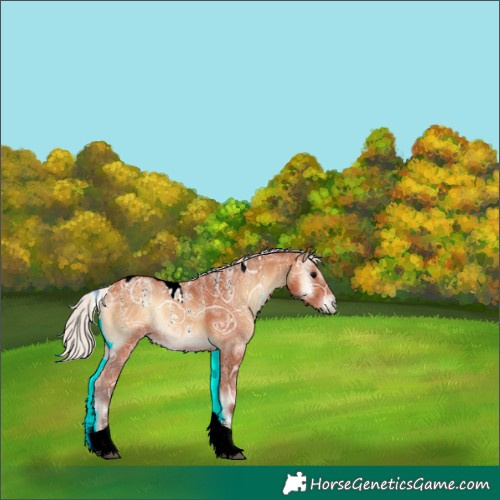 Horse Color:Powder White Silver Bay Ice Onyx Tobiano Rabicano 