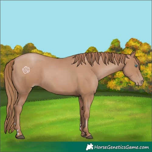 Horse Color:Black Pearl 