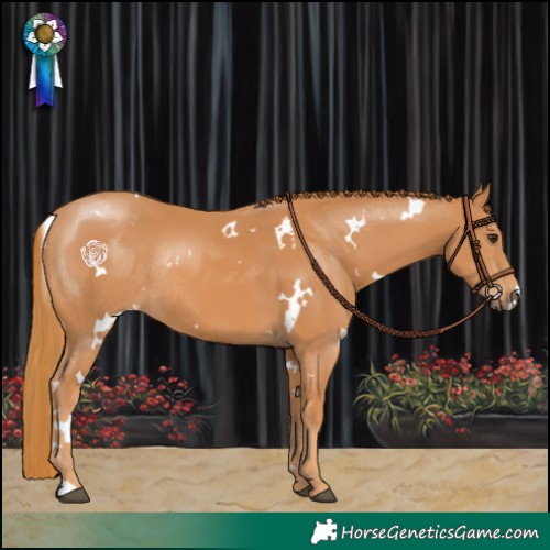 Horse Color:White Spotted Chestnut Rabicano 