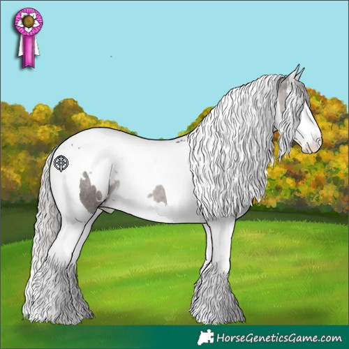 Horse Color:White Spotted Silver Brown Splash Tobiano 