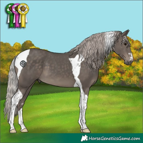 Horse Color:Silver Black Tobiano 