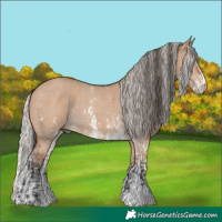 Horse Color:Brown Dun Sabino Rabicano and Silver Brown Dun Sabino Rabicano