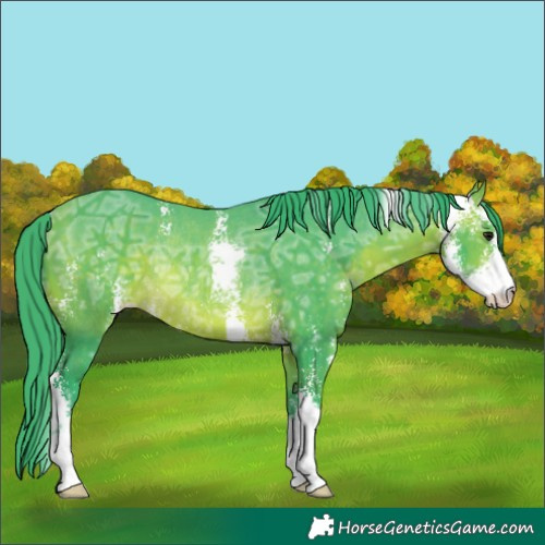 Horse Color:Watercolor Bay Ice Sabino Rabicano 