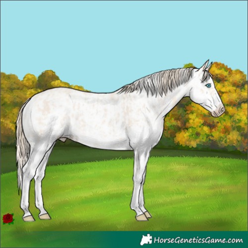 Horse Color:Perlino Sabino  and Perlino Sabino Frame 