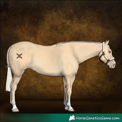 Horse Color:Gold Cream Champagne 