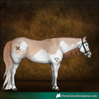 Horse Color:Red Dun Splash