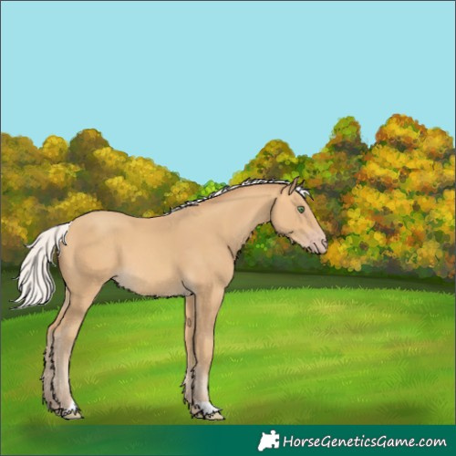 Horse Color:Silver Sable Cream Champagne