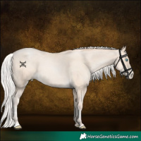 Horse Color:Silver Sable Cream Champagne Pearl 