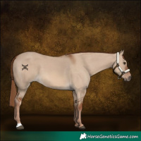 Horse Color:Red Dun 
