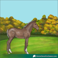 Horse Color:Silver Black 