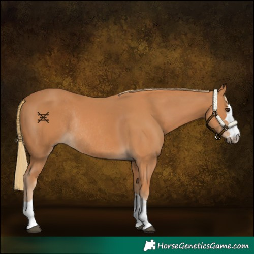 Horse Color:Chestnut Rabicano