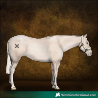 Horse Color:Gold Cream Champagne Pearl 