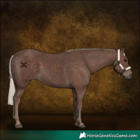 Horse Color:Silver Black 