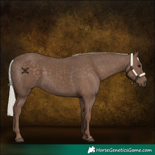 Horse Color:Silver Black 