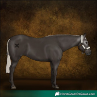 Horse Color:Gray Silver Black 