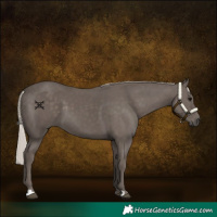Horse Color:Silver Black 