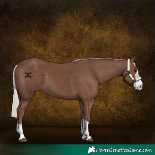 Horse Color:Silver Black