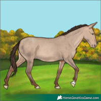 Horse Color:Amber Champagne Dun 