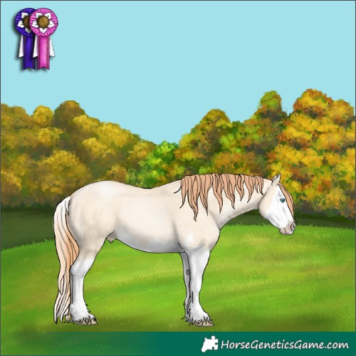 Horse Color:Classic Cream Champagne Pearl Dun Sabino Splash 