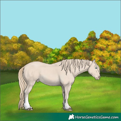 Horse Color:Smoky Creme