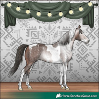 Horse Color:Gray Bay Sabino Tobiano 